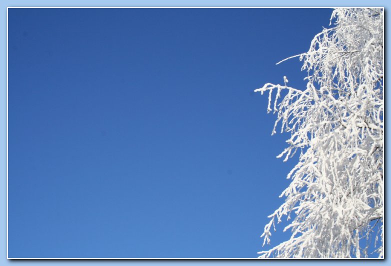 Arnhem Snow 164